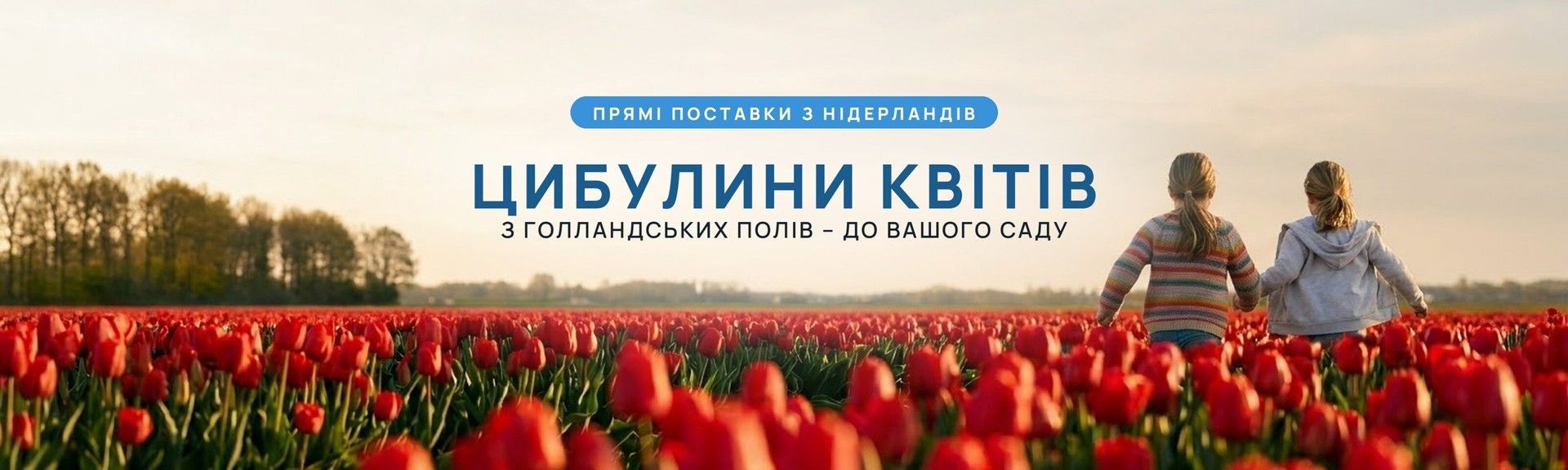 Цибулини квітів з Нідерландів